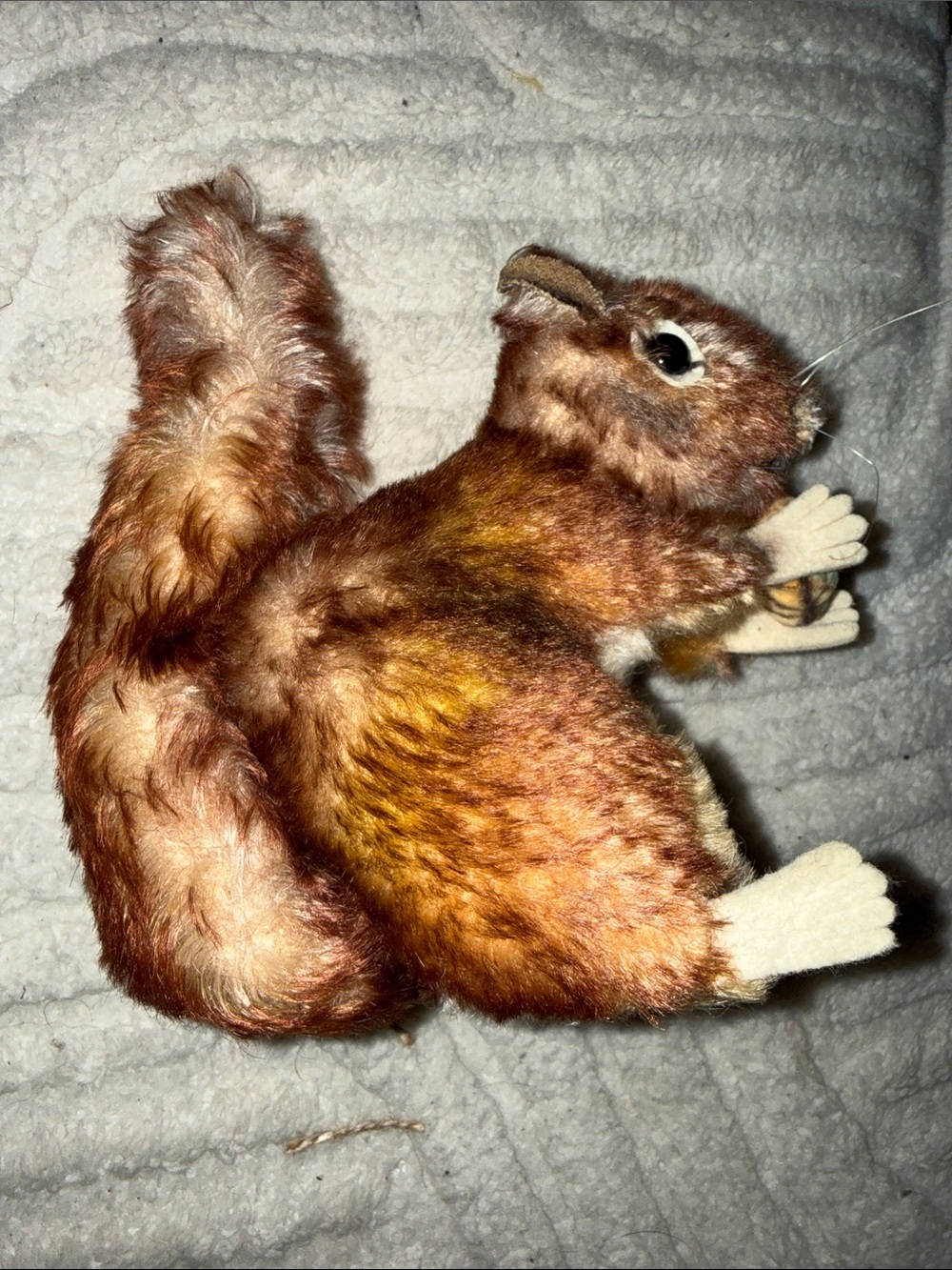 đżď¸ Rare Vintage Steiff Mohair Squirrel w/ Button â 1950s German Plush â - Picture 3 of 9